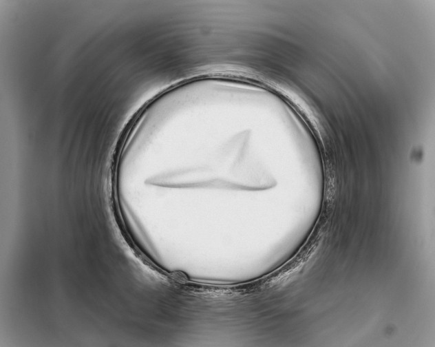 X0000097890999200804111014