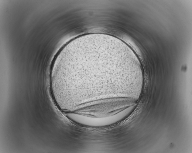 X0000097891000200804111014