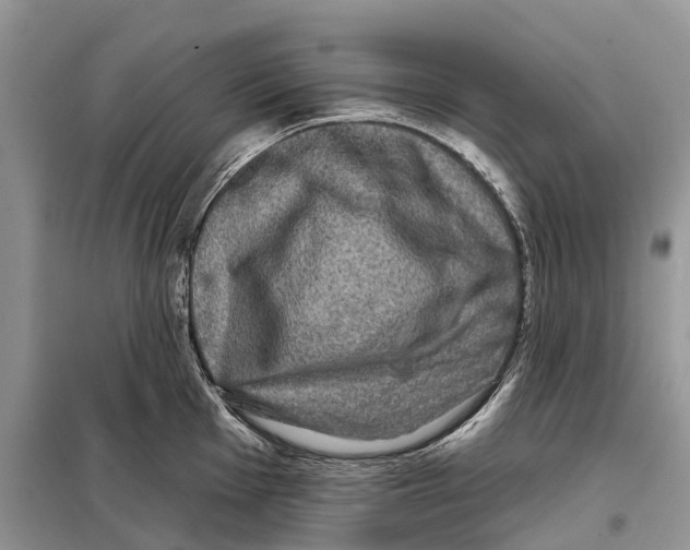 X0000097891001200804111013