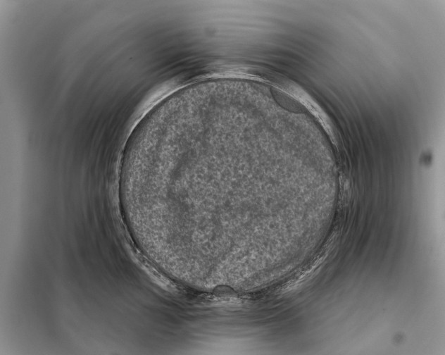 X0000097891002200804111013