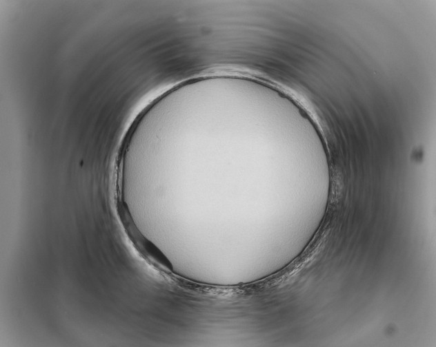 X0000097891003200804111013