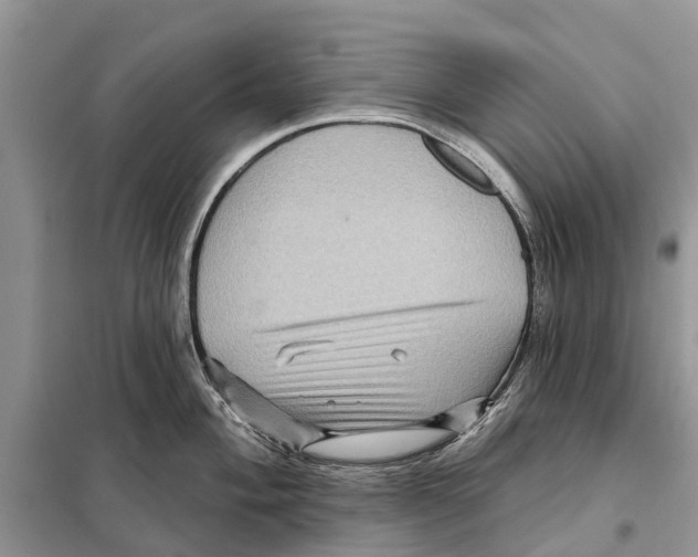 X0000097891004200804111013