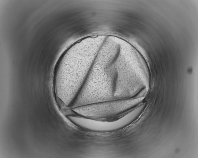 X0000097891005200804111013