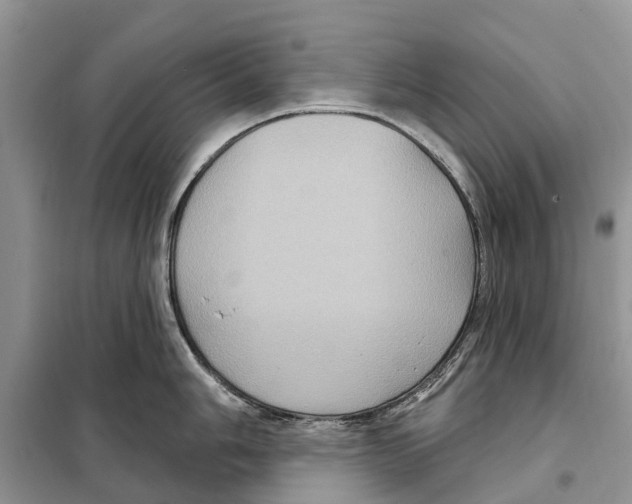 X0000097891006200804111013