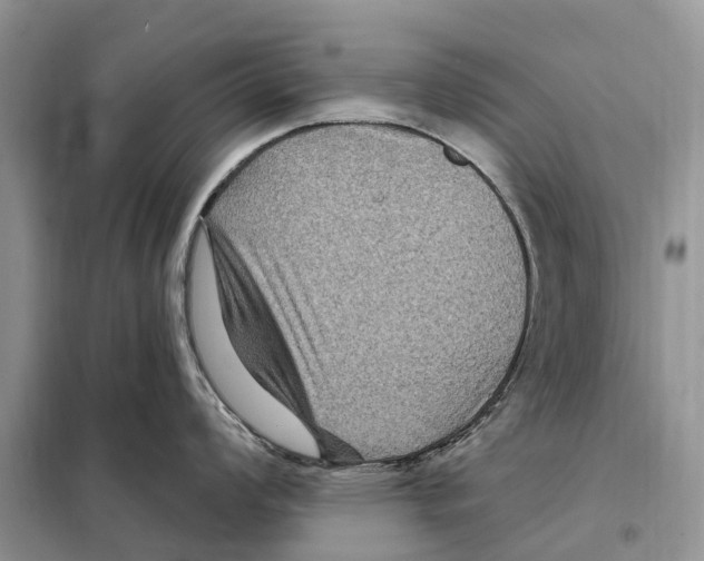 X0000097891008200804111013