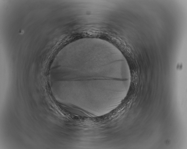 X0000097891009200804111013