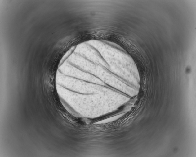 X0000097891010200804111013