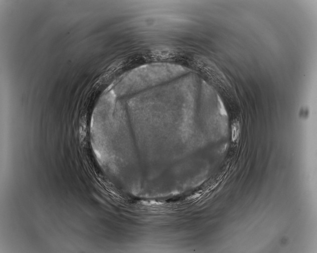 X0000097891011200804111013