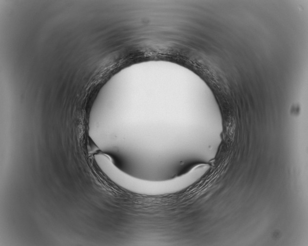 X0000097891012200804111013