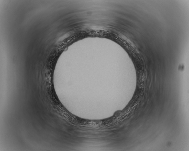 X0000097891013200804111013