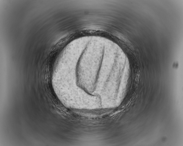 X0000097891014200804111013