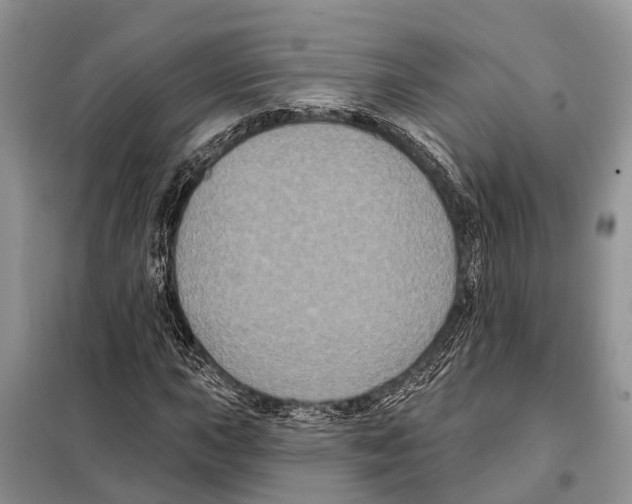 X0000097891015200804111013