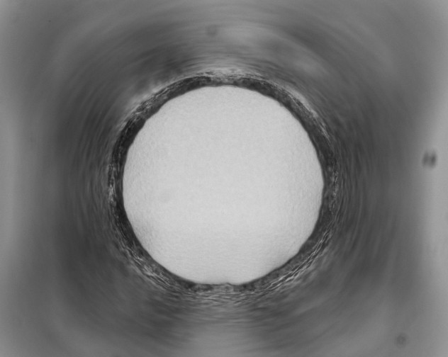 X0000097891016200804111013