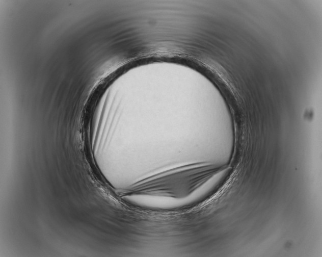 X0000097891018200804111013