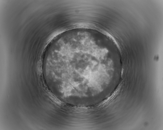 X0000097891019200804111013