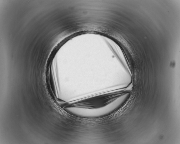 X0000097891020200804111013