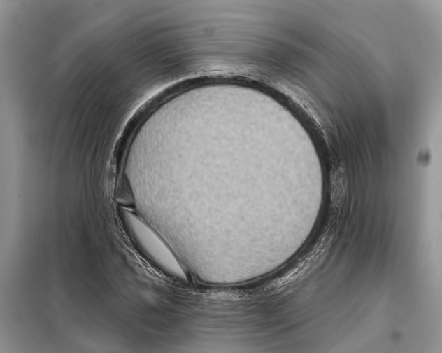 X0000097891021200804111013