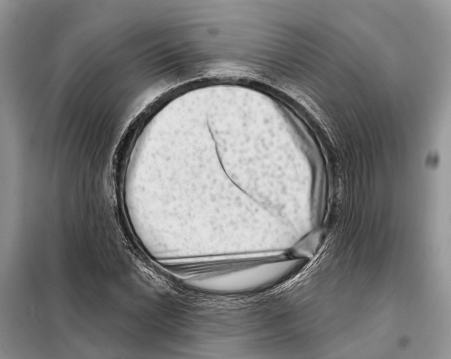 X0000097891022200804111013