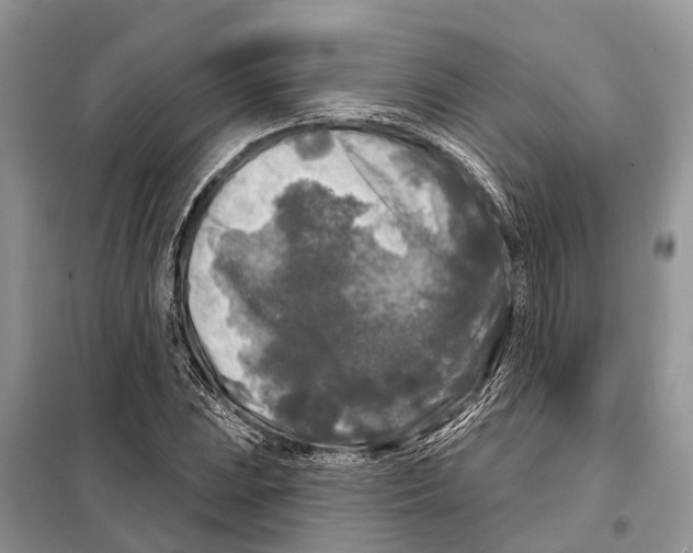 X0000097891023200804111013