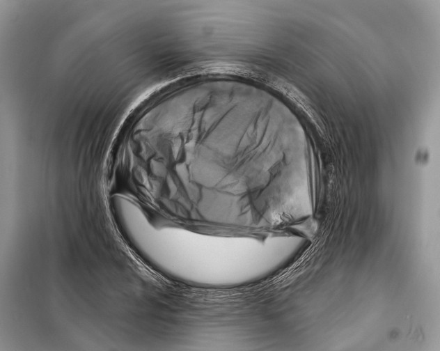 X0000097891024200804111013