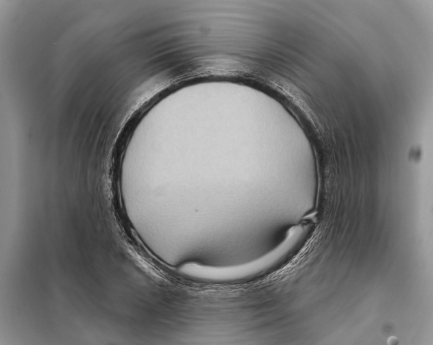 X0000097891026200804111013