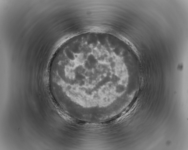 X0000097891027200804111013