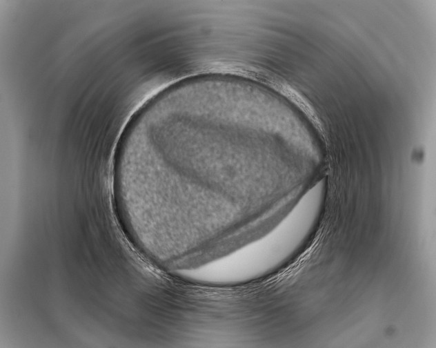 X0000097891028200804111013