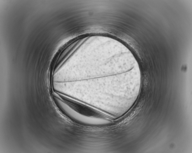 X0000097891030200804111013