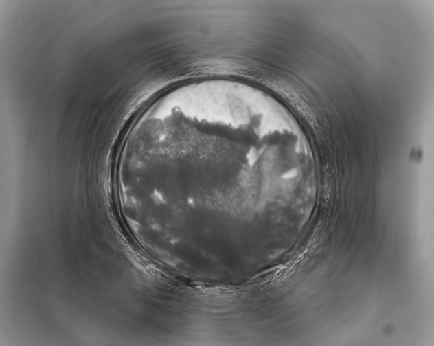 X0000097891031200804111013