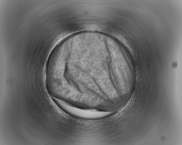 X0000097891032200804111013