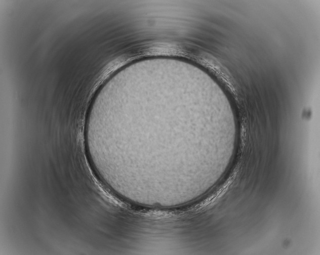 X0000097891033200804111013