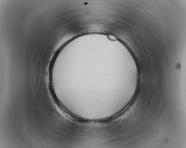 X0000097891034200804111013