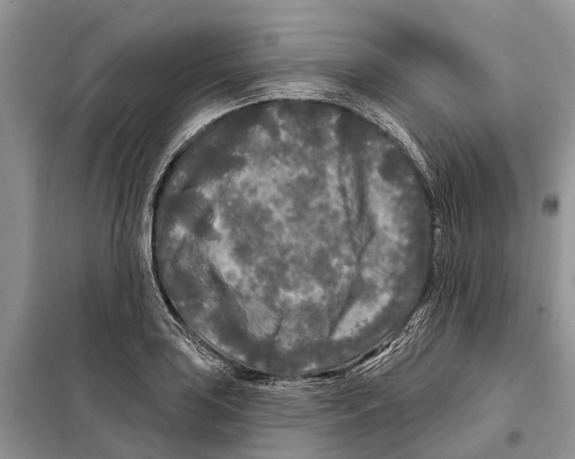 X0000097891035200804111013