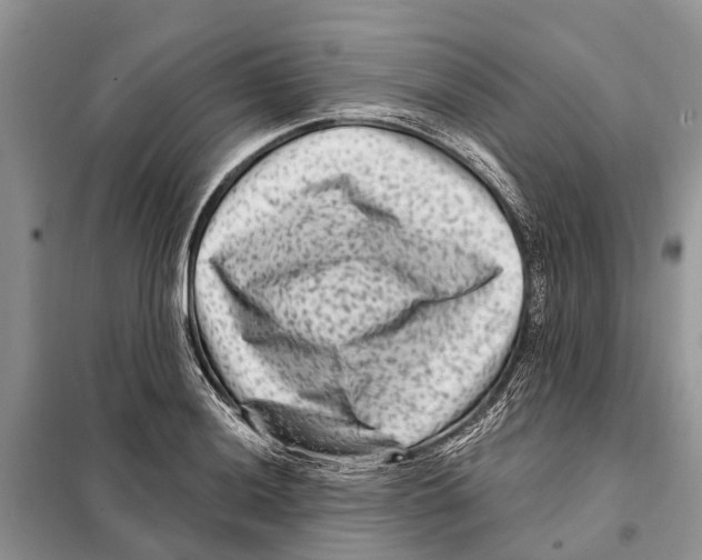 X0000097891036200804111013