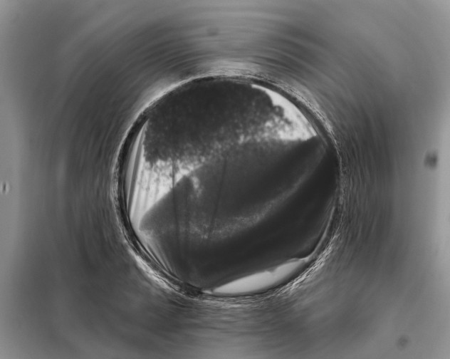 X0000097891037200804111013