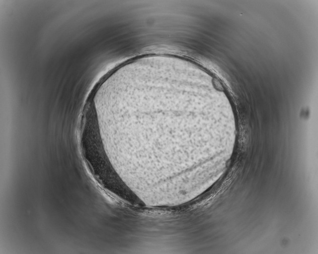 X0000097891040200804111013