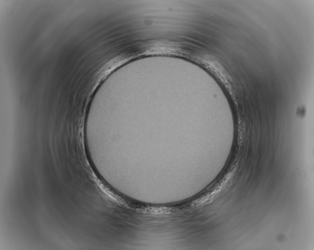 X0000097891041200804111013