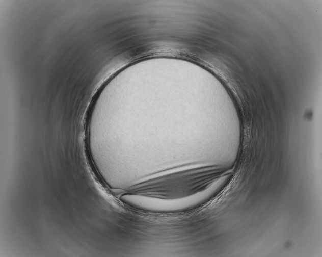 X0000097891042200804111013