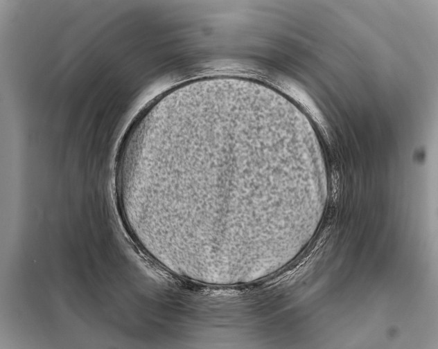 X0000097891043200804111013