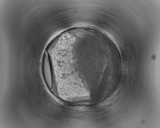 X0000097891045200804111013