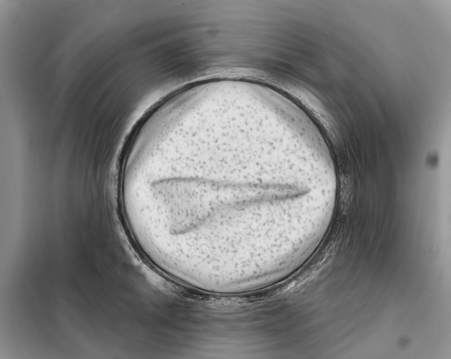 X0000097891046200804111013