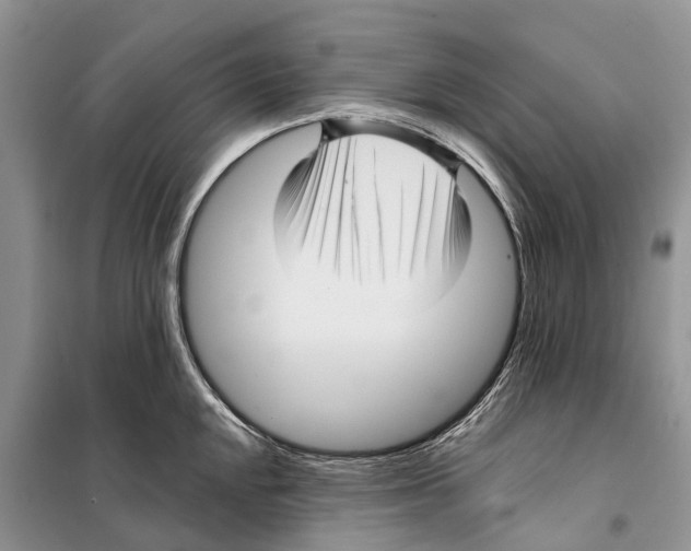 X0000097891048200804111013