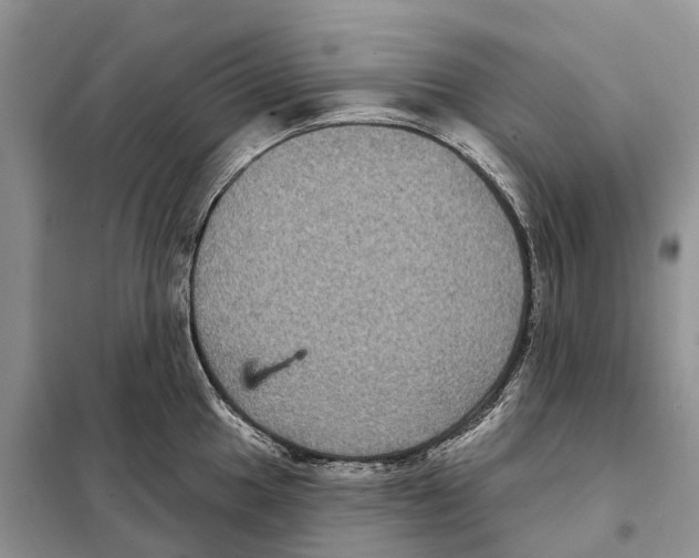 X0000097891049200804111013