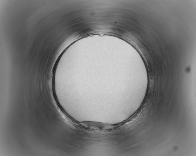 X0000097891050200804111013