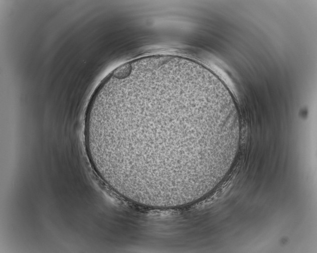 X0000097891051200804111013