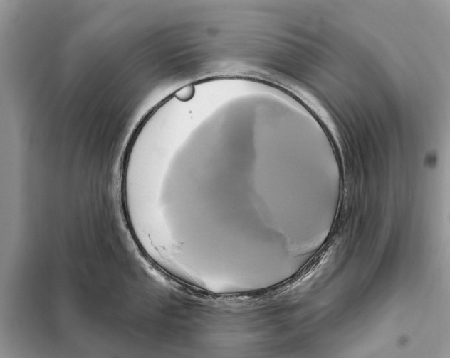 X0000097891053200804111013