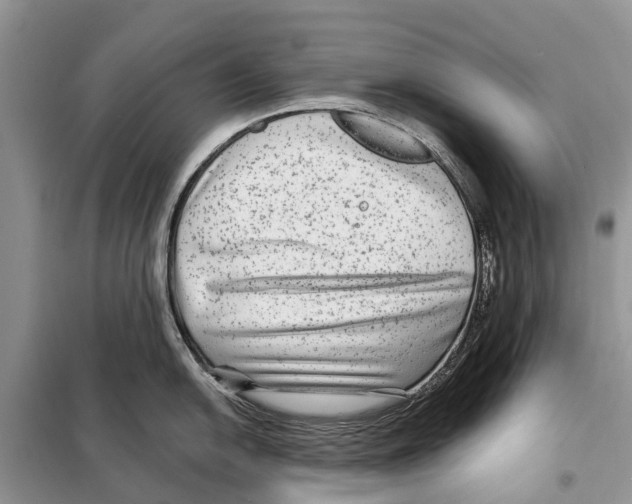 X0000097891054200804111013