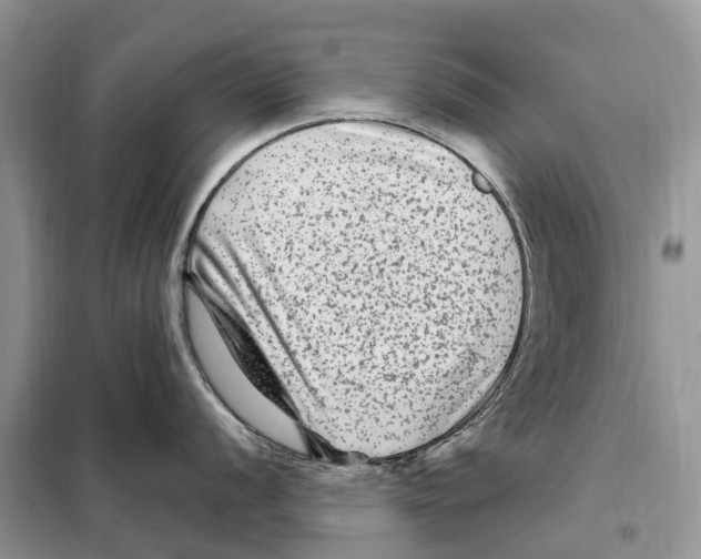 X0000097891056200804111013