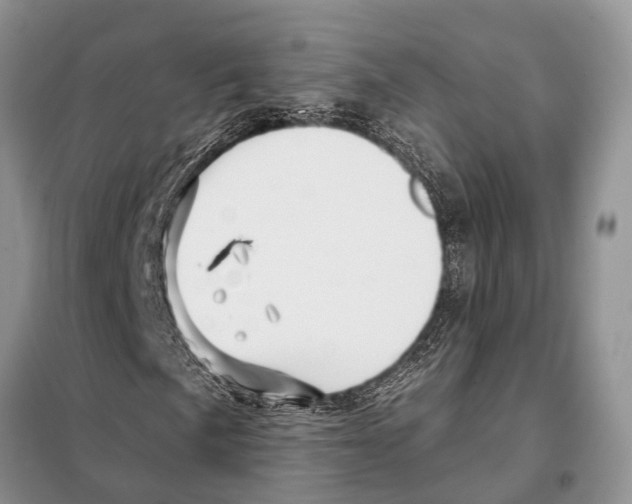 X0000097891057200804111013