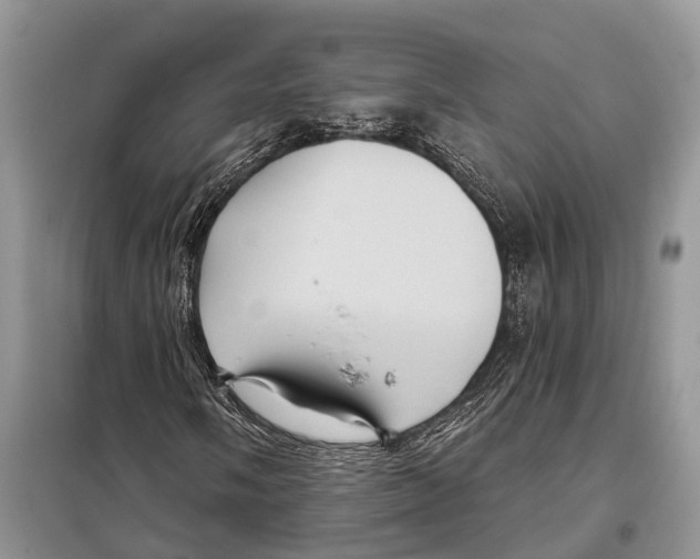 X0000097891058200804111013